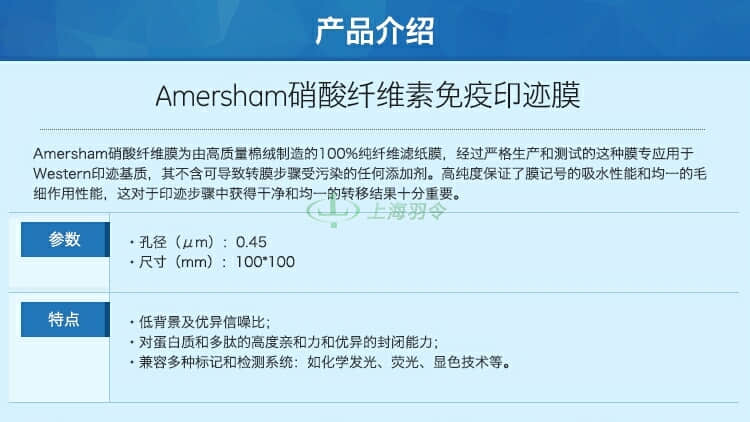 GE,whatman,沃特曼