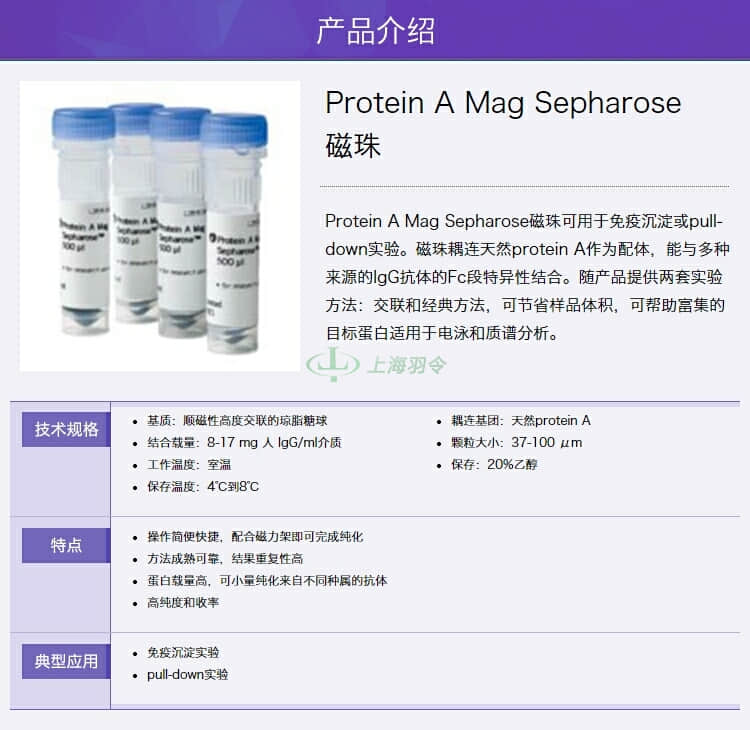 GE,whatman,沃特曼