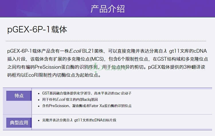 GE,whatman,沃特曼