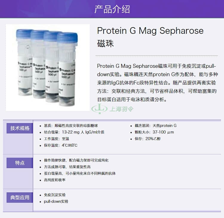 GE,whatman,沃特曼