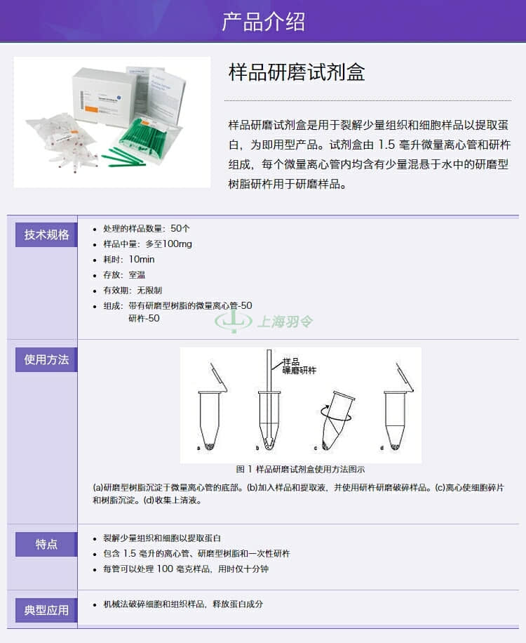 GE,whatman,沃特曼