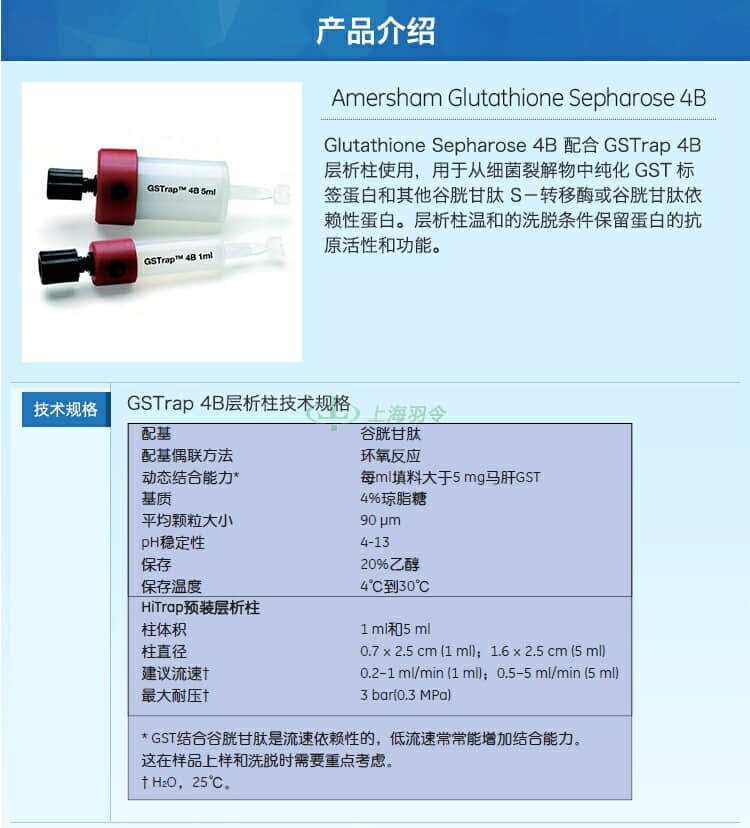 GE,whatman,沃特曼