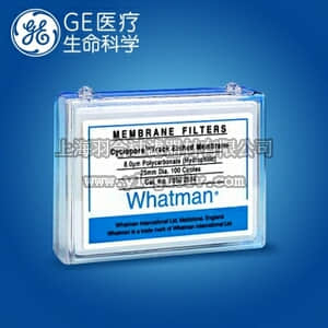 GE,whatman,沃特曼,径迹蚀刻膜, 5.0μm 25mm,100张/包,7062-2513