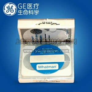 GE,whatman,沃特曼,径迹蚀刻膜Nuclepore2.0μm 47mm,100张/包,111111