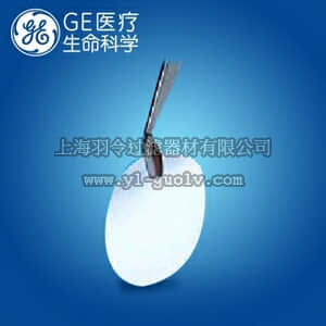 GE,whatman,沃特曼,聚碳酸酯膜Nuclepore 0.1μm 142mm,25张/包,112105