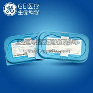 GE,whatman,沃特曼,PTFE膜, 5um 47mm, 50张/包,10411111