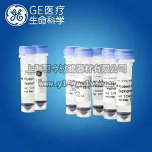 GE,whatman,沃特曼,Protein G Mag Sepharose Xtra磁珠,28-9670-66
