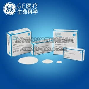 GE,whatman,沃特曼,GF/D玻璃微纤维滤膜,直径110mm,1823-110