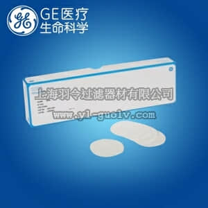 GE,whatman,沃特曼,QMA石英微纤维滤膜,直径90mm,1851-090