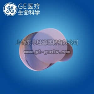 GE,whatman,沃特曼,Anopore无机氧化铝膜,直径25mm,0.02um,6809-6002