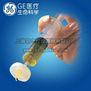 GE,whatman,沃特曼,GD/X 25mm针头式滤器,0.45um尼龙膜,6870-2504