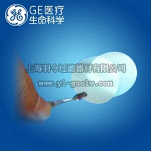 GE,whatman,沃特曼,Cyclopore聚碳酸酯膜,直径25mm 孔径0.2um,7060-2502 GE,whatman,沃特曼,Cyclopore聚碳酸酯膜,直径25mm 孔径0.2um,7060-2502