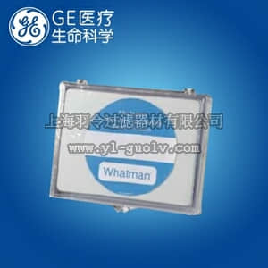 GE,whatman,沃特曼,Nuclepore聚碳酸酯膜,直径25mm,3.0μm,110612