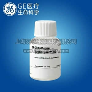 GE,whatman,沃特曼,Glutathione Sepharose 4B填料,10mL,17-0756-01