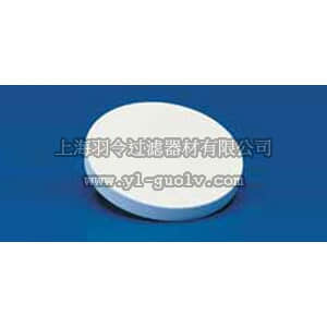 thermo fisher,赛默飞世尔,T_70112-947A,CoorsTek 多孔陶瓷皿 P-1/2-AC材质 DISC POROUS -- P-1/2AC