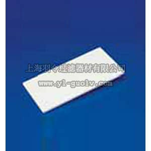 thermo fisher,赛默飞世尔,T_70112-944C,CoorsTek 长方形陶瓷板 216 × 102 × 5 mm RECTANGULAR PLATE