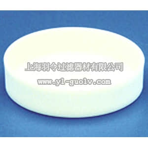 thermo fisher,赛默飞世尔,T_70108-226-15D,CoorsTek 陶瓷蒸发皿 100mL DISH CIRCULAR 75MMX26MM