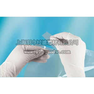 thermo fisher,赛默飞世尔,T_7010181211,Nasco Whirl-Pak 家禽冲洗袋 37.5 × 50 cm POULTRY RINSE BAG 15X20 250PK