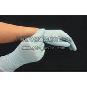 thermo fisher,赛默飞世尔,T_803310108003,LabServ 丁腈检测手套，大号，无粉，100%无乳胶，23cm长，手掌/尖防滑麻面，双手通用，未灭菌，100/盒 LabServ nitrile exam gloves, large, powder free, 100%latex free, 9 inch length, textured grip, ambidextrous, non-sterile, 100/pack